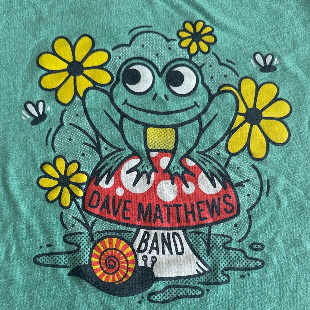 3/$25 Dave Matthew’s Band Green T-Shirt Kids size M 10-12